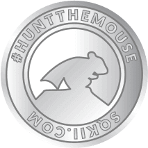 Silver Coin
